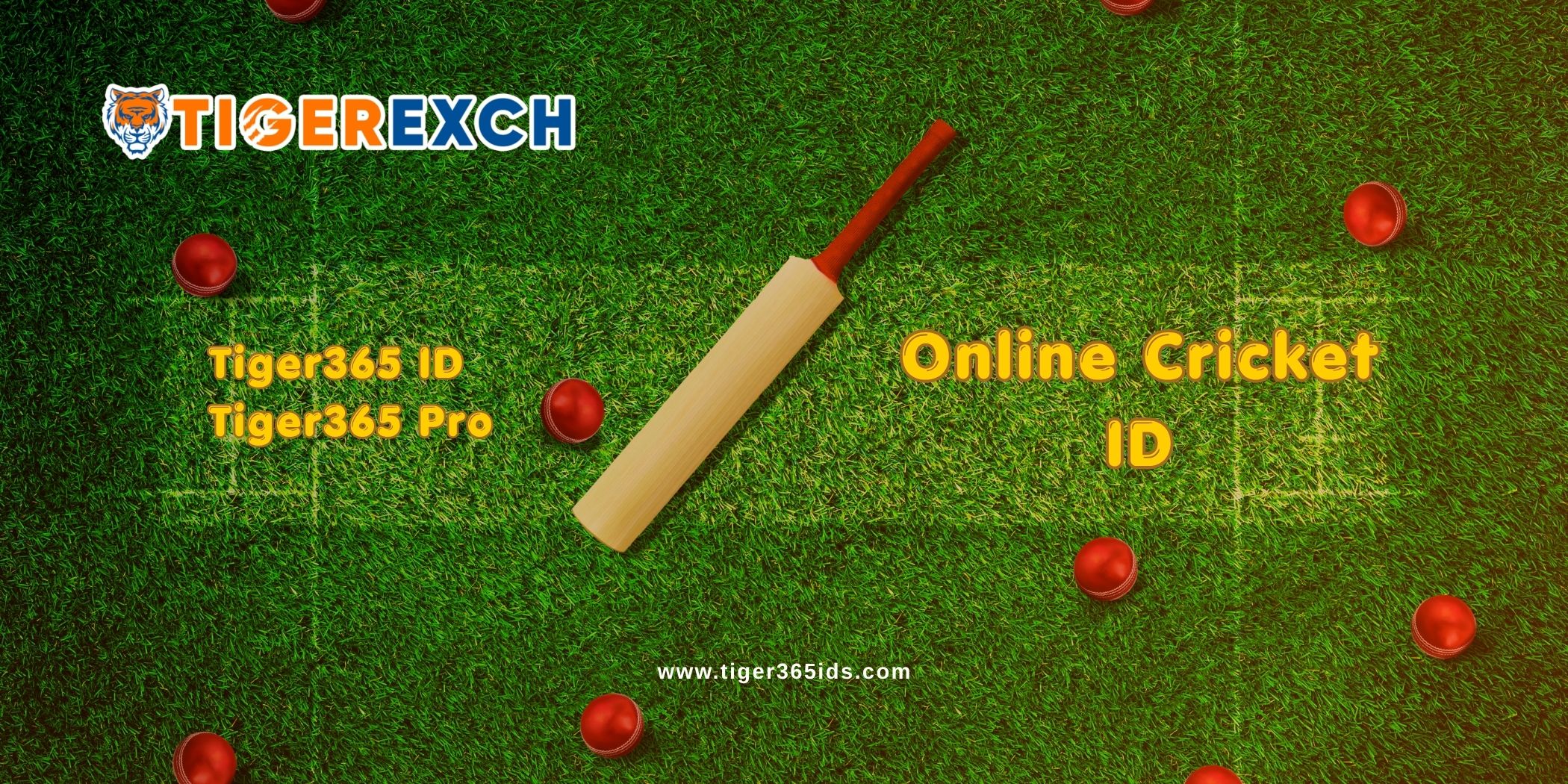 online cricket id